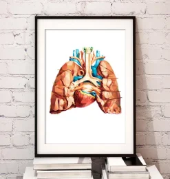 Codex Anatomicus Lungs Anatomy | Heart Anatomy^Heart and lungs anatomy