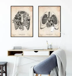 Codex Anatomicus Lungs Anatomy | Heart Anatomy^Heart and Lungs anatomy art V