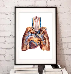 Codex Anatomicus Lungs Anatomy | Heart Anatomy^Heart and lungs anatomy III