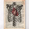 Codex Anatomicus Skull & Skeleton | Heart Anatomy^Heart and Rib cage - Old dictionary page