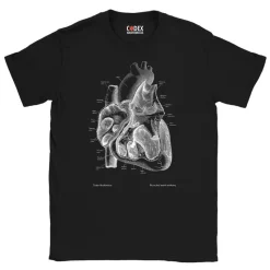 Codex Anatomicus T-shirts^Heart II Unisex T-Shirt - Chalkboard