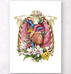 Codex Anatomicus Lungs Anatomy | Heart Anatomy^Heart, lungs and rib cage - Floral - White