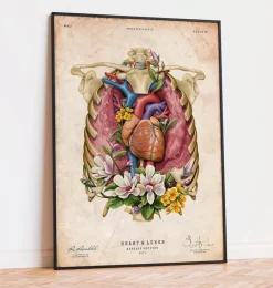 Codex Anatomicus Lungs Anatomy | Heart Anatomy^Heart, lungs and rib cage - Floral - Vintage