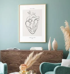 Codex Anatomicus Heart Anatomy^Heart section - Line Art