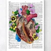 Codex Anatomicus Heart Anatomy^Heart with flowers II - Dictionary page