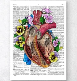 Codex Anatomicus Heart Anatomy^Heart with flowers II - Dictionary page