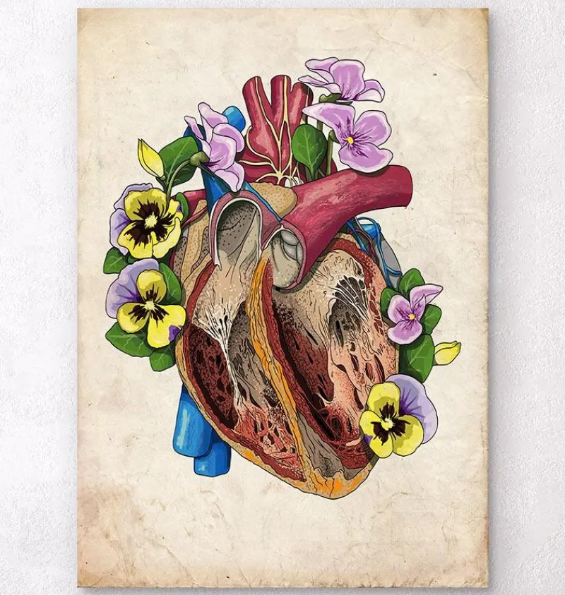 Codex Anatomicus Heart Anatomy^Heart with flowers II - Old paper