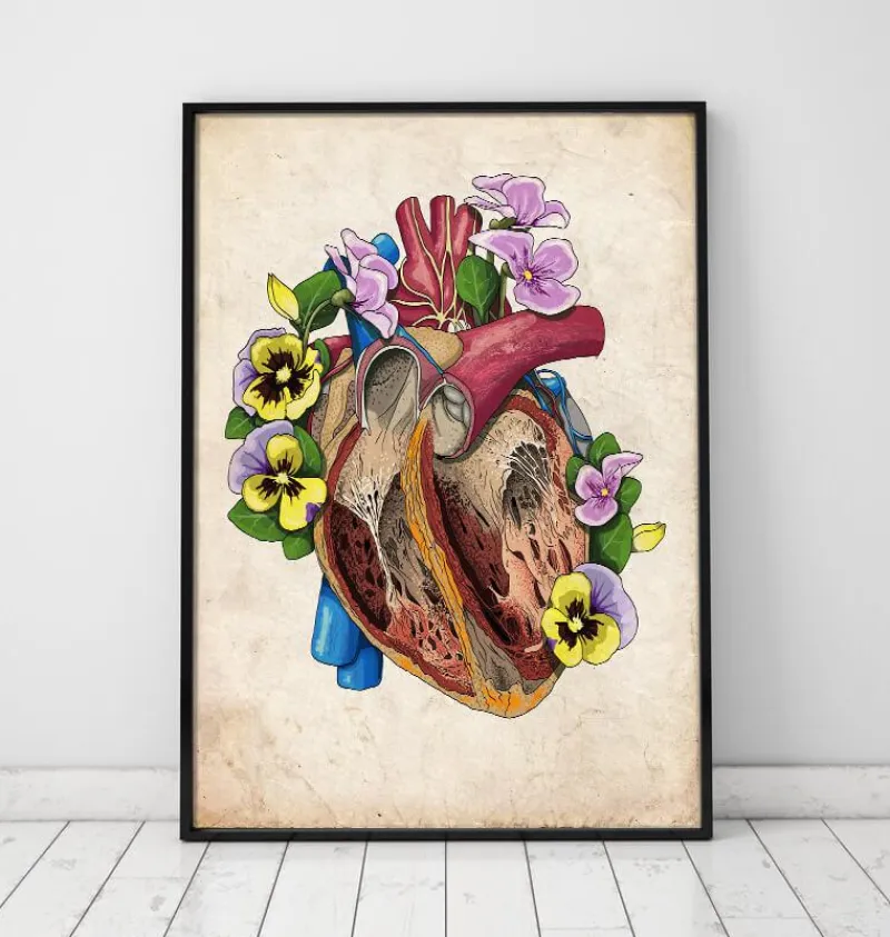 Codex Anatomicus Heart Anatomy^Heart with flowers II - Old paper