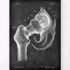 Codex Anatomicus Skull & Skeleton^Hip joint anatomy - Chalkboard
