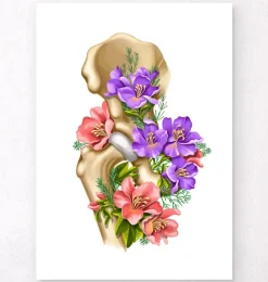 Codex Anatomicus Skull & Skeleton^Hip joint anatomy - Floral - White