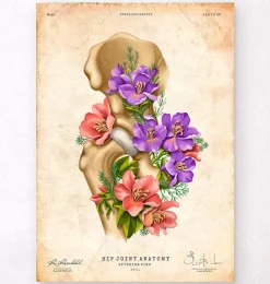 Codex Anatomicus Skull & Skeleton^Hip joint anatomy - Floral - Vintage