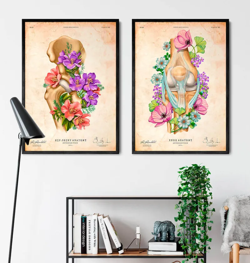Codex Anatomicus Skull & Skeleton^Hip joint anatomy - Floral - Vintage