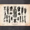 Codex Anatomicus Various Organs^Human anatomy print - Various illustrations III