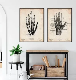 Codex Anatomicus Hands & Legs^Human hand anatomy print