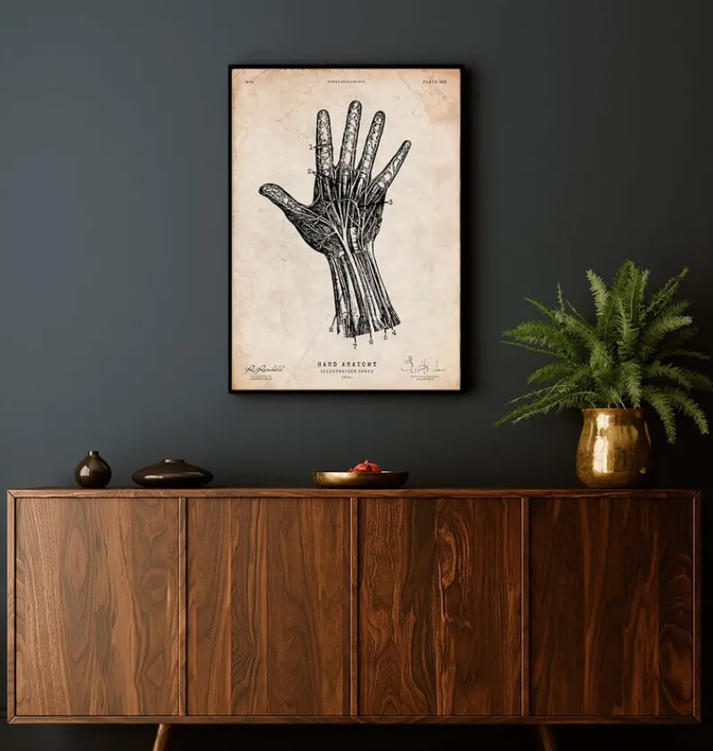 Codex Anatomicus Hands & Legs^Human hand anatomy print IV