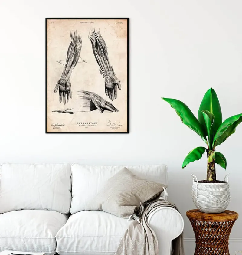 Codex Anatomicus Hands & Legs^Human hand anatomy print III