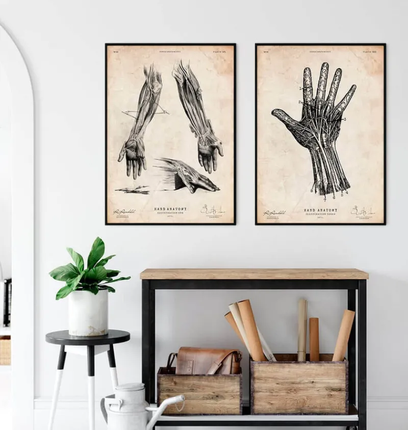 Codex Anatomicus Hands & Legs^Human hand anatomy print IV