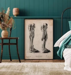 Codex Anatomicus Hands & Legs^Human leg anatomy print