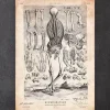 Codex Anatomicus Skull & Skeleton^Human skeleton print III