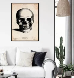 Codex Anatomicus Skull & Skeleton^Human skull print II