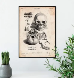 Codex Anatomicus Skull & Skeleton^Human skull print IX