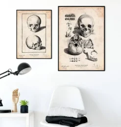 Codex Anatomicus Skull & Skeleton^Human skull print IX