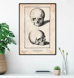 Codex Anatomicus Skull & Skeleton^Human skull print VIII