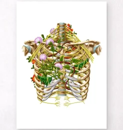 Codex Anatomicus Skull & Skeleton^Intercostal nerves - Floral - White
