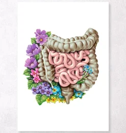 Codex Anatomicus Digestive System^Intestines anatomy - Floral - White