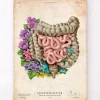 Codex Anatomicus Digestive System^Intestines anatomy - Floral - Vintage
