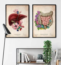Codex Anatomicus Digestive System^Intestines anatomy - Floral - Vintage