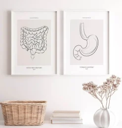 Codex Anatomicus Digestive System^Intestines anatomy - Line Art