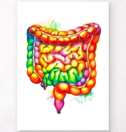 Codex Anatomicus Various Organs | Digestive System^Intestines anatomy art - Watercolor splash