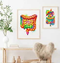 Codex Anatomicus Various Organs | Digestive System^Intestines anatomy art - Watercolor splash