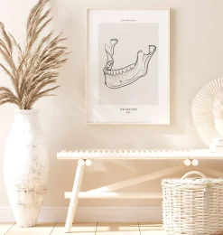 Codex Anatomicus Dental Anatomy^Jaw anatomy - Line Art