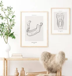 Codex Anatomicus Dental Anatomy^Jaw anatomy - Line Art