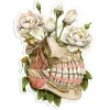 Codex Anatomicus Stickers^Jaw anatomy sticker - Floral