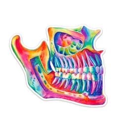 Codex Anatomicus Stickers^Jaw anatomy sticker - Watercolor Splash