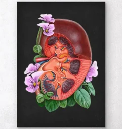 Codex Anatomicus Kidney & Liver^Kidney anatomy - Floral - Black