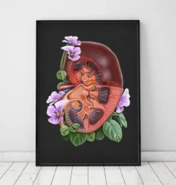 Codex Anatomicus Kidney & Liver^Kidney anatomy - Floral - Black
