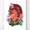 Codex Anatomicus Kidney & Liver^Kidney anatomy - Floral - White