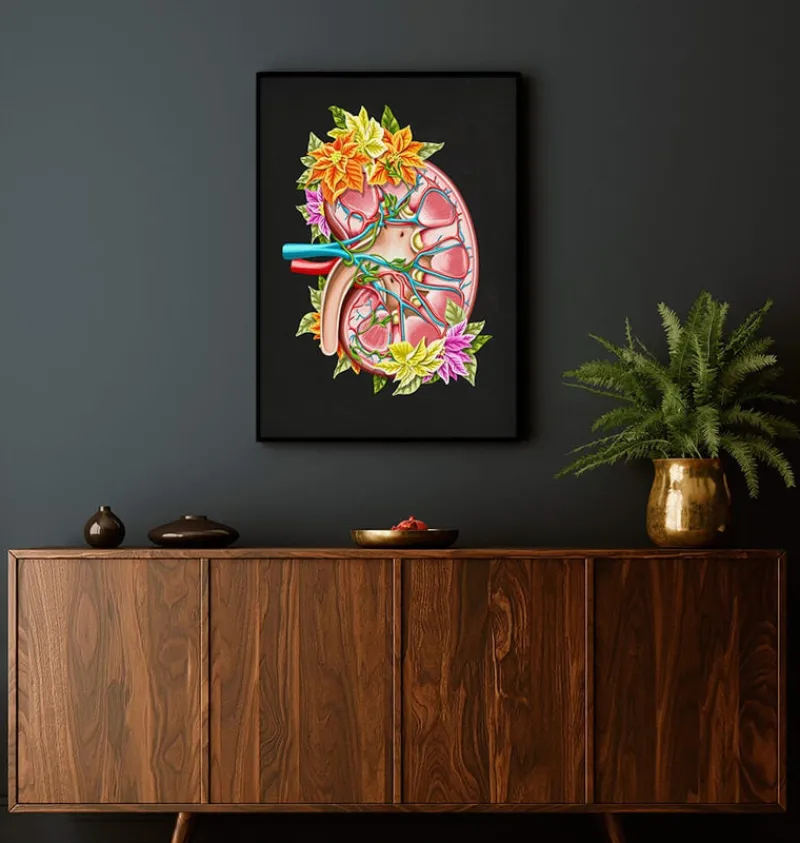 Codex Anatomicus Kidney & Liver^Kidney anatomy II - Floral - Black