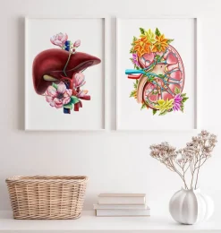 Codex Anatomicus Kidney & Liver^Kidney anatomy II - Floral - White