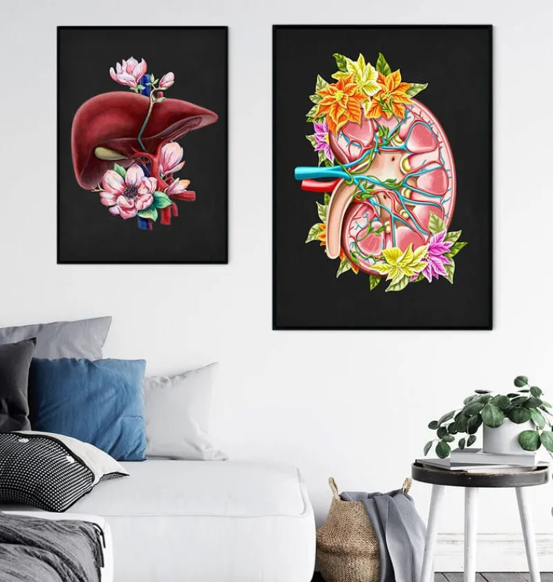 Codex Anatomicus Kidney & Liver^Kidney anatomy II - Floral - Black