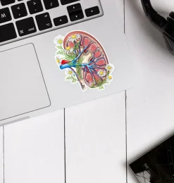 Codex Anatomicus Stickers^Kidney anatomy sticker II - Floral