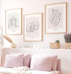 Codex Anatomicus Kidney & Liver^Kidneys anatomy - Line Art