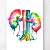 Codex Anatomicus Kidney & Liver^Kidneys anatomy art - Watercolor splash