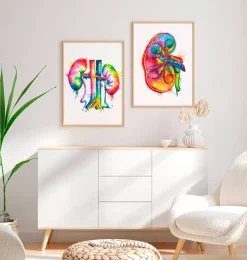 Codex Anatomicus Kidney & Liver^Kidneys anatomy art - Watercolor splash