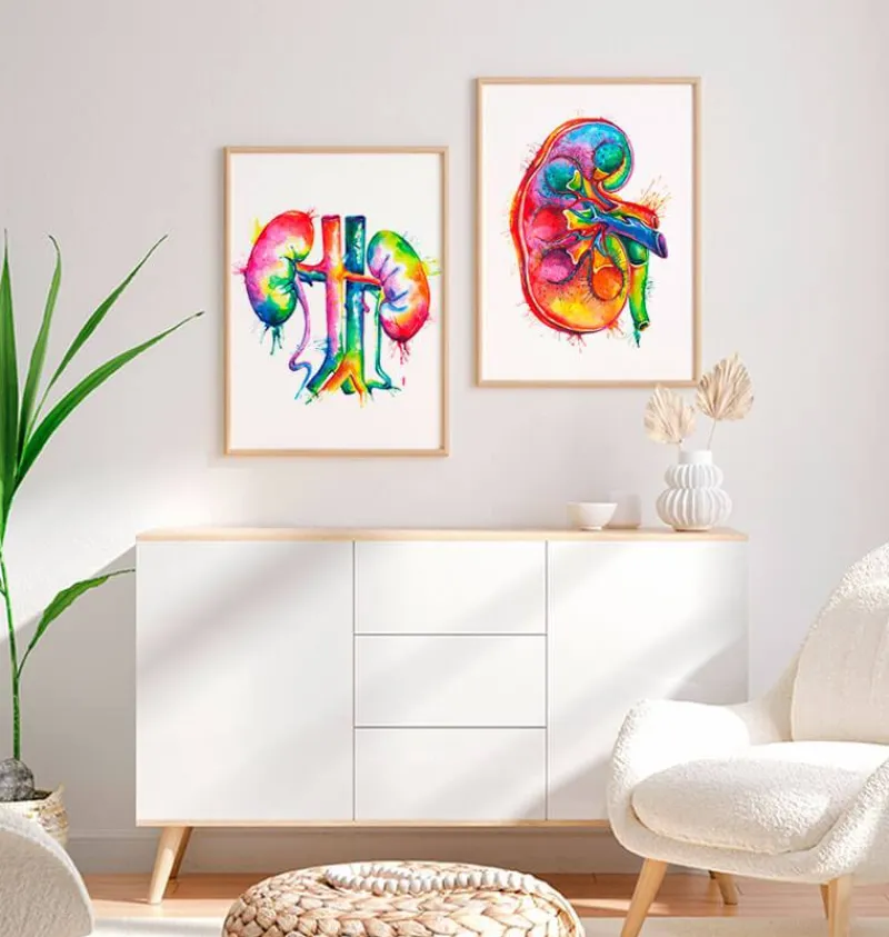 Codex Anatomicus Kidney & Liver^Kidneys anatomy art - Watercolor splash