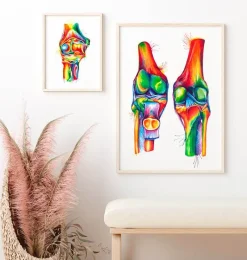 Codex Anatomicus Skull & Skeleton | Hands & Legs^Knee anatomy - Watercolor splash